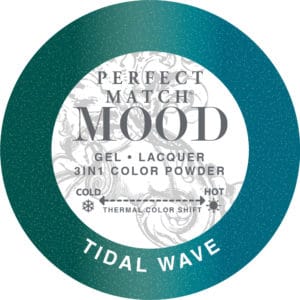 Perfect Match Mood Powder - PMMCP09 - Tidal Wave