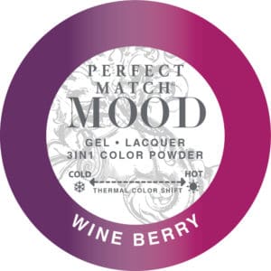 Perfect Match Mood Powder - PMMCP49 - Wine Berry
