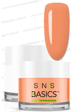 SNS Basic Powder - SNS Basics 1+1 Powder B029