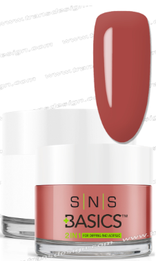 SNS Basic Powder - SNS Basics 1+1 Powder B066