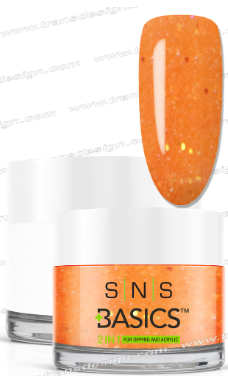 SNS Basic Powder - SNS Basics 1+1 Powder B099