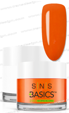 SNS Basic Powder - SNS Basics 1+1 Powder B132