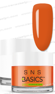 SNS Basic Powder - SNS Basics 1+1 Powder B141