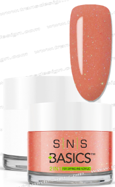 SNS Basic Powder - SNS Basics 1+1 Powder B142