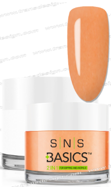 SNS Basic Powder - SNS Basics 1+1 Powder B150